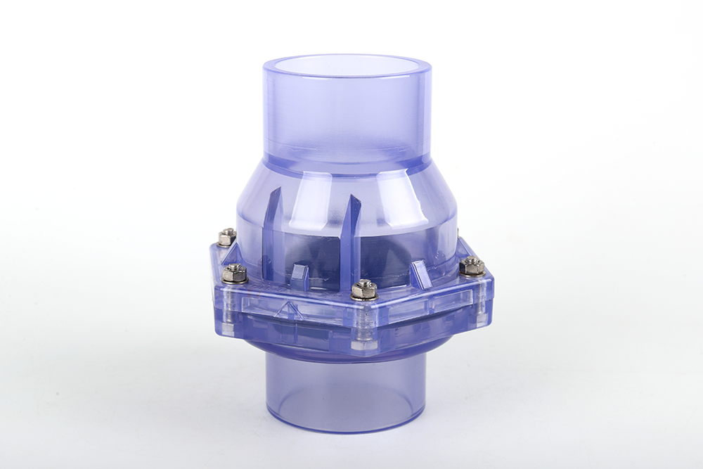 莲都透明翻板式止回阀